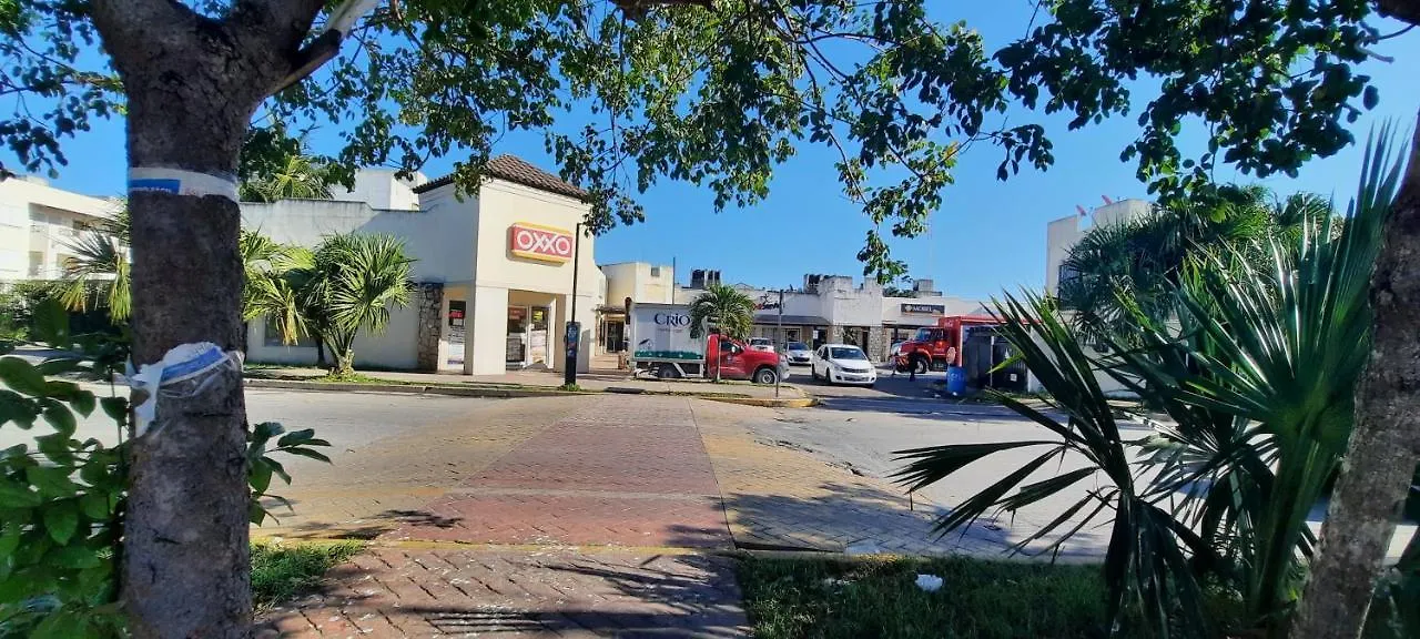 Daire Apartamento En Fraccionamiento Privado 6 Personas, 5 Camas, Piscina Cerca De La Playa Playa del Carmen Meksika
